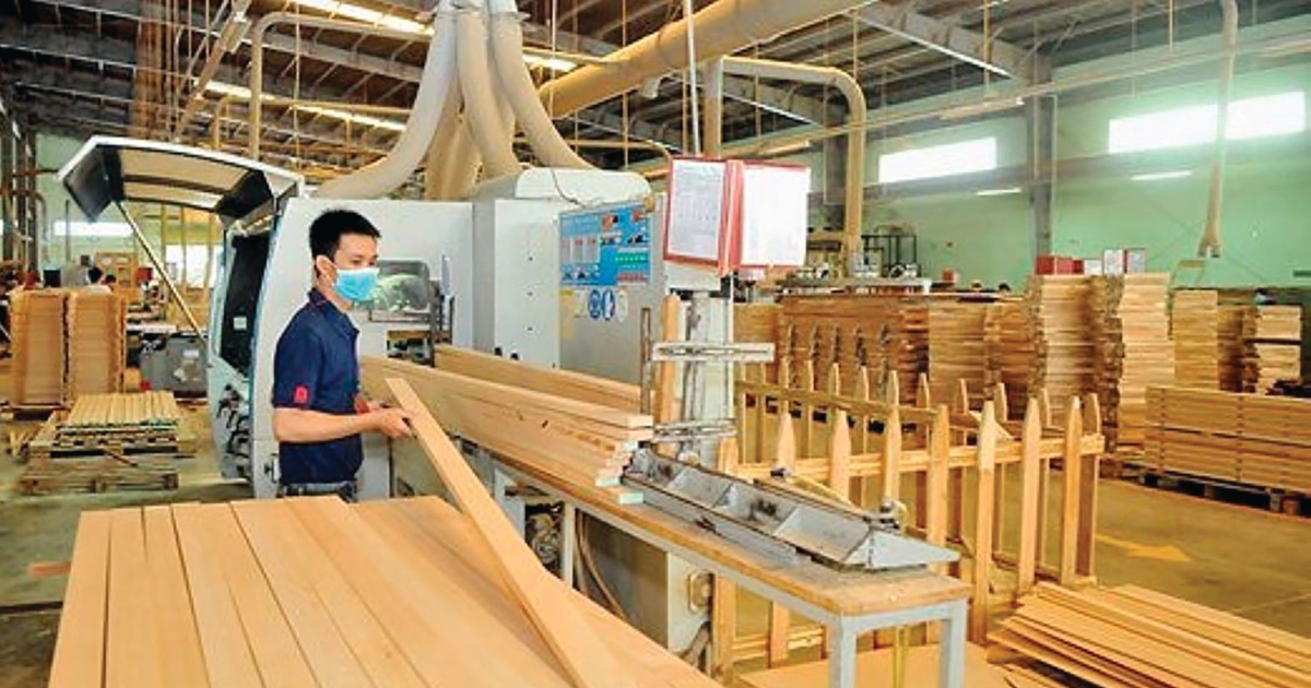 “Bán lúa non” khiến ngành gỗ thiếu nguyên liệu chế biến sâu