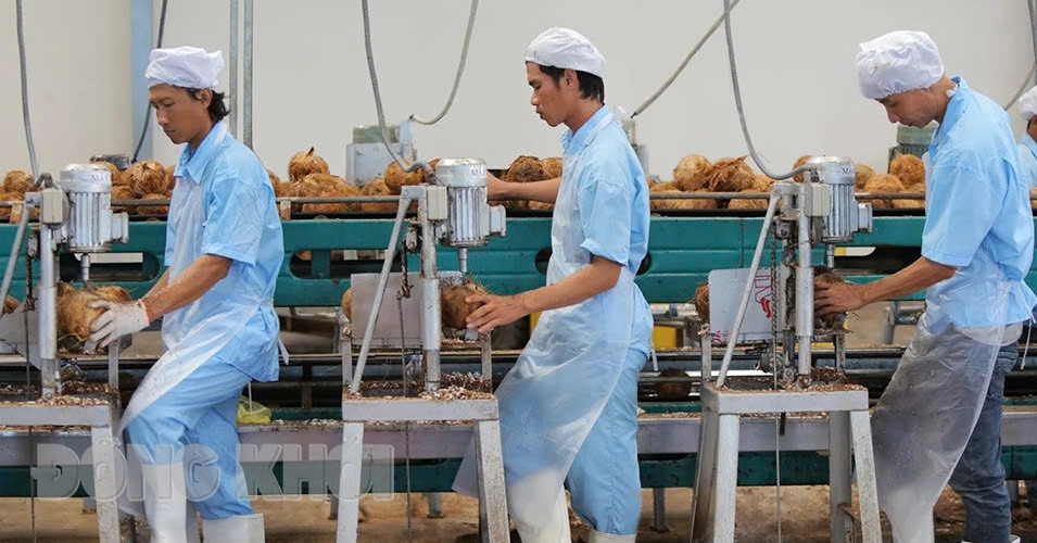 Bến Tre – ‘xứ dừa’ vươn mình tăng trưởng kinh tế, thu hút đầu tư Bến Tre – ‘xứ dừa’ vươn mình tăng trưởng kinh tế, thu hút đầu tư