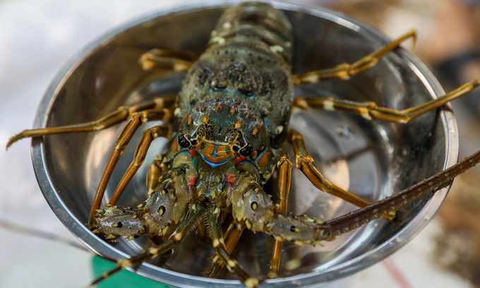 China overtakes US as Vietnam’s largest seafood market China overtakes US as Vietnam’s largest seafood market
