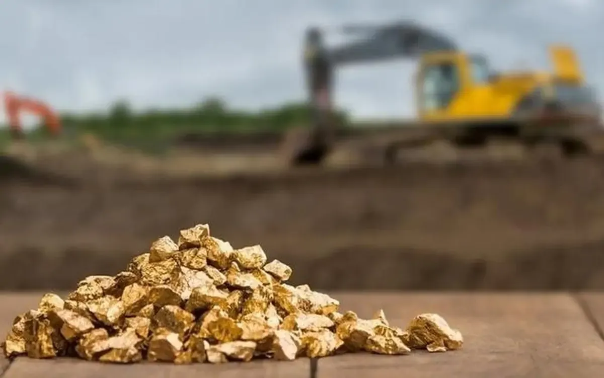 Công ty đào kho báu lớn nhất Việt Nam báo lãi quý 2 cao nhất lịch sử 1.400 tỷ