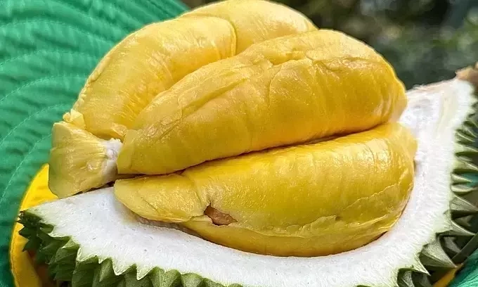Customs orders faster clearance for durian, other agricultural exports Customs orders faster clearance for durian, other agricultural exports