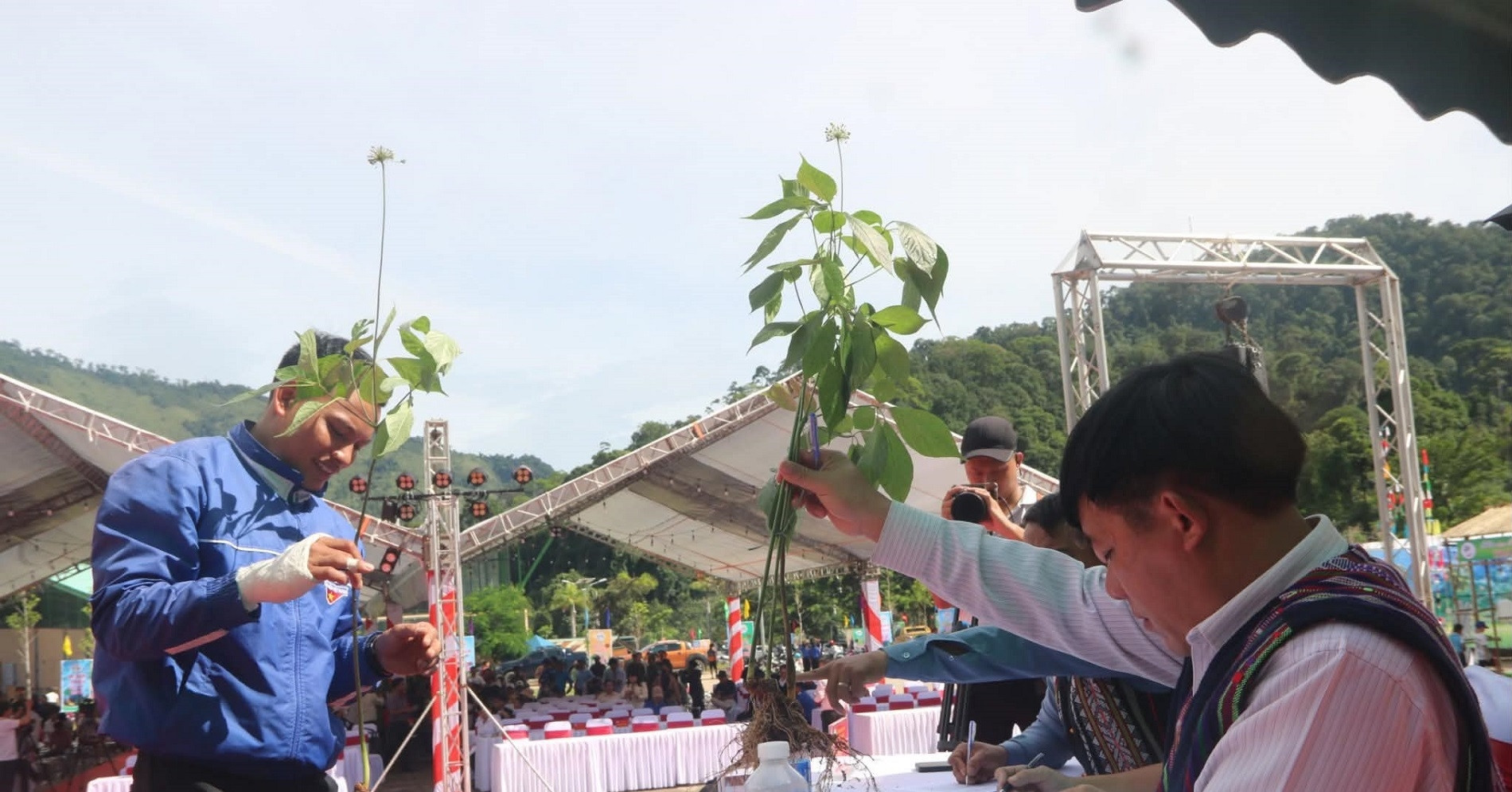Đà Nẵng cam kết hoàn tiền nếu phát hiện tam thất giả danh sâm Ngọc Linh Đà Nẵng cam kết hoàn tiền nếu phát hiện tam thất giả danh sâm Ngọc Linh