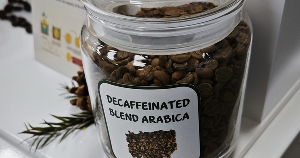 Điều ít biết về cà phê không chứa caffeine Điều ít biết về cà phê không chứa caffeine