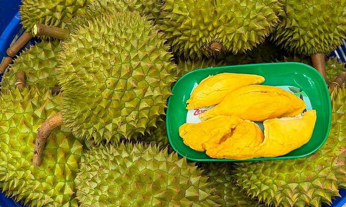 Durian prices fall to  per kg as rainy weather affects quality