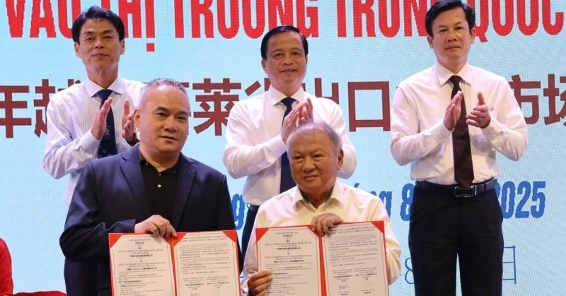 Gia Lai xúc tiến xuất khẩu nông sản sang thị trường Trung Quốc Gia Lai xúc tiến xuất khẩu nông sản sang thị trường Trung Quốc