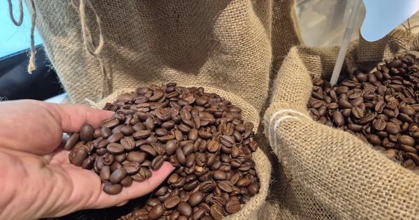 Giá cà phê hôm nay, 30-6: Arabica bật tăng, Robusta sụt giảm Giá cà phê hôm nay, 30-6: Arabica bật tăng, Robusta sụt giảm