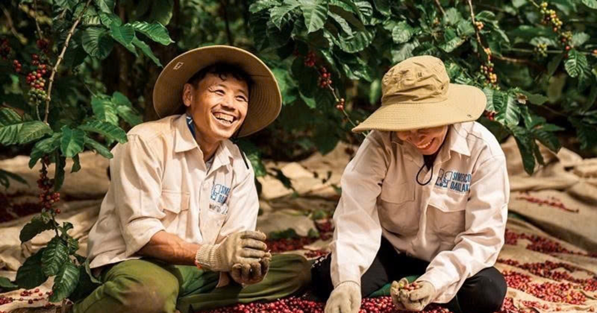Giá cà phê nội địa: Thách thức cung cầu 2023 Giá cà phê nội địa: Thách thức cung cầu 2023