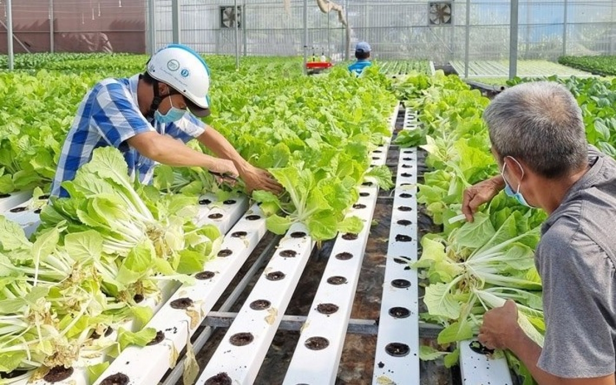 Hà Nội hoàn thiện hành lang pháp lý, đưa Luật Thủ đô 2026 sớm vào cuộc sống Hà Nội hoàn thiện hành lang pháp lý, đưa Luật Thủ đô 2026 sớm vào cuộc sống