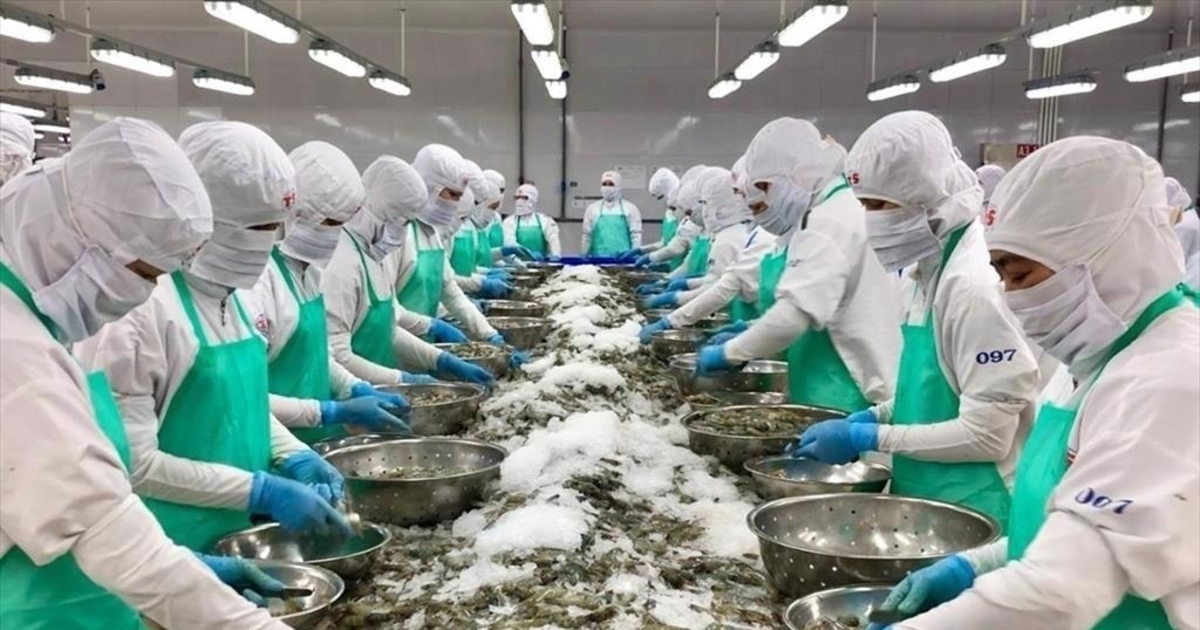 Hàng Việt và Đề Xuất Thuế Mới Từ Mỹ: Thích Ứng Ra Sao? Hàng Việt và Đề Xuất Thuế Mới Từ Mỹ: Thích Ứng Ra Sao?