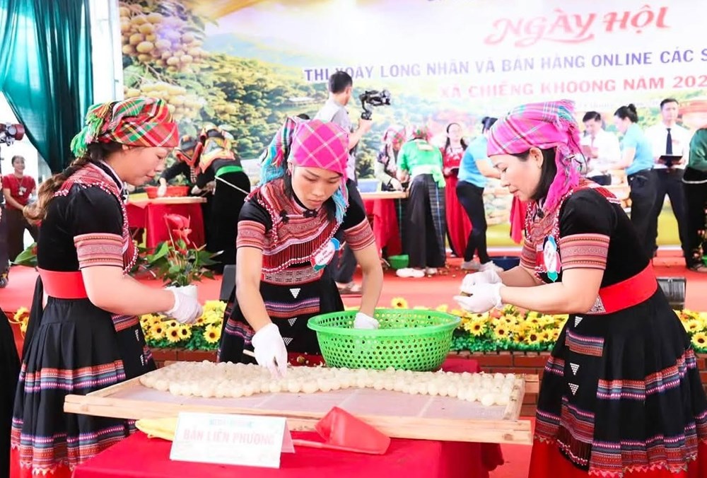 Mở lối đưa đặc sản nhãn Chiềng Khoong vươn xa bằng nền tảng số Mở lối đưa đặc sản nhãn Chiềng Khoong vươn xa bằng nền tảng số