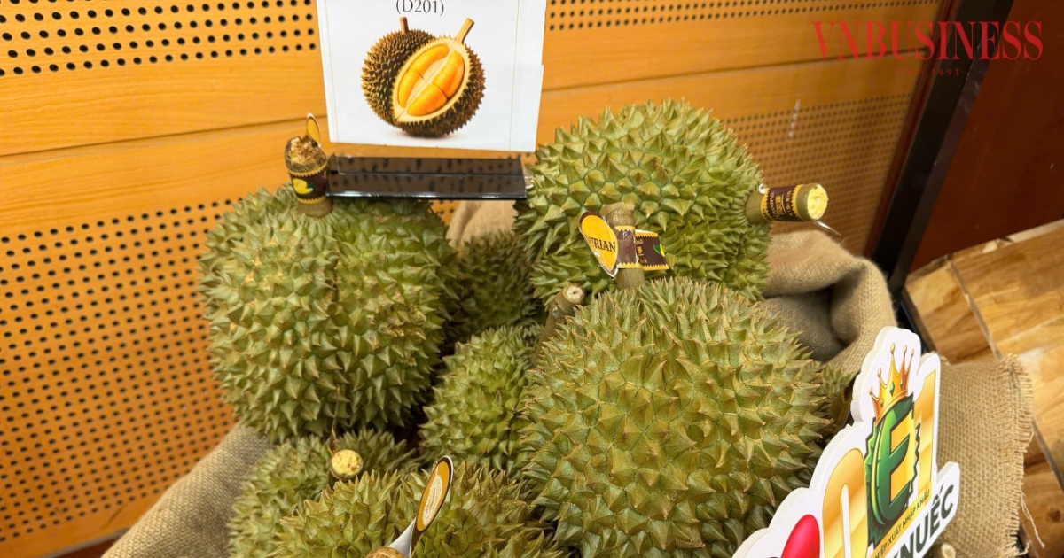 Nâng giá trị ngành hàng sầu riêng tỷ đô Nâng giá trị ngành hàng sầu riêng tỷ đô
