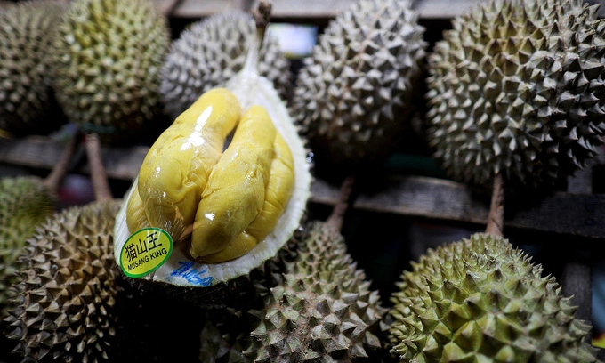 One of the world’s top durian exporters faces glut after years of China-fueled expansion