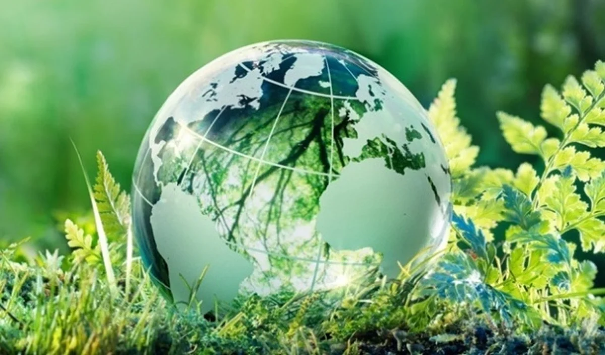 Retail sector urged to accelerate circular economy Retail sector urged to accelerate circular economy