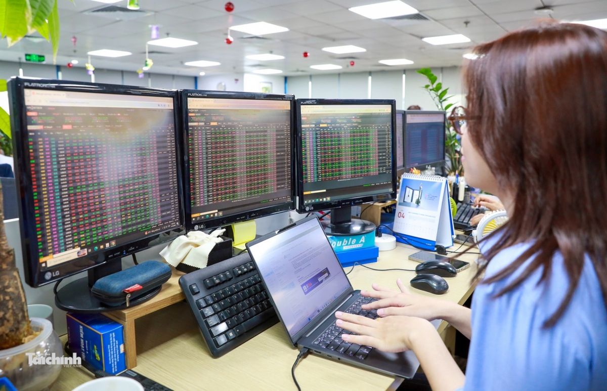 Strong Q2 earnings expected to boost investor confidence Strong Q2 earnings expected to boost investor confidence