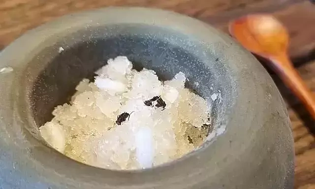 Two-Michelin-starred South Korea restaurant owner faces jail for black ant sorbet Two-Michelin-starred South Korea restaurant owner faces jail for black ant sorbet