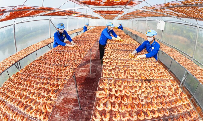 Vietnam’s economy needs to shift from quantity to quality: ADB experts Vietnam’s economy needs to shift from quantity to quality: ADB experts