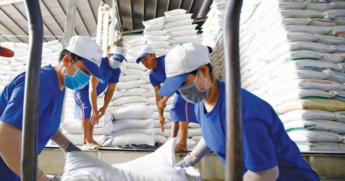 Xuất khẩu nông, lâm, thủy sản 6 tháng đầu năm tăng 6% Xuất khẩu nông, lâm, thủy sản 6 tháng đầu năm tăng 6%