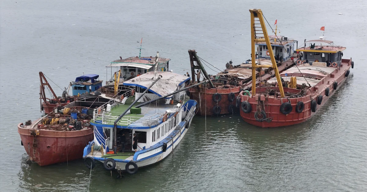 Những doanh nghiệp nào chi trả bồi thường bảo hiểm cho nạn nhân vụ lật tàu Vịnh Xanh 58?