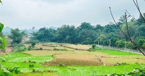 Đất nhận thừa kế có được giảm tiền sử dụng đất khi chuyển sang đất ở? Đất nhận thừa kế có được giảm tiền sử dụng đất khi chuyển sang đất ở?