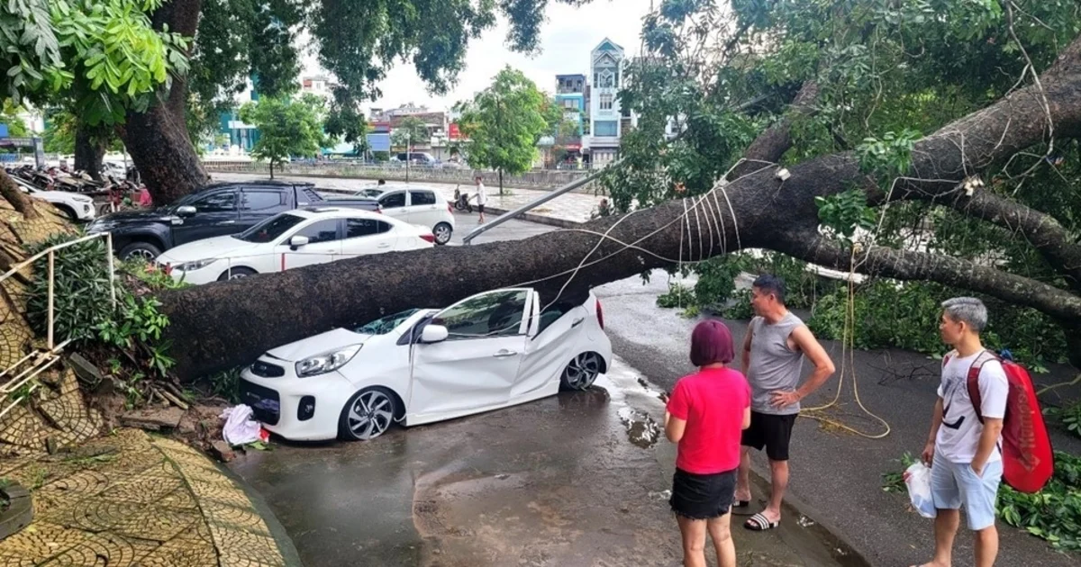 Doanh thu từ tái bảo hiểm, khai thác nền tảng thương mại điện tử vực dậy các doanh nghiệp bảo hiểm Doanh thu từ tái bảo hiểm, khai thác nền tảng thương mại điện tử vực dậy các doanh nghiệp bảo hiểm