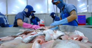 Xuất khẩu thủy sản Việt Nam: Tiềm năng từ Trung Quốc